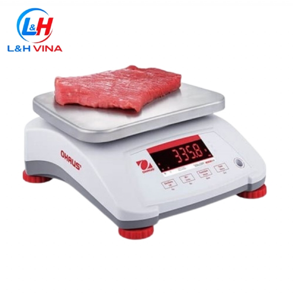 CÂN KỸ THUẬT V41XWE6T-M