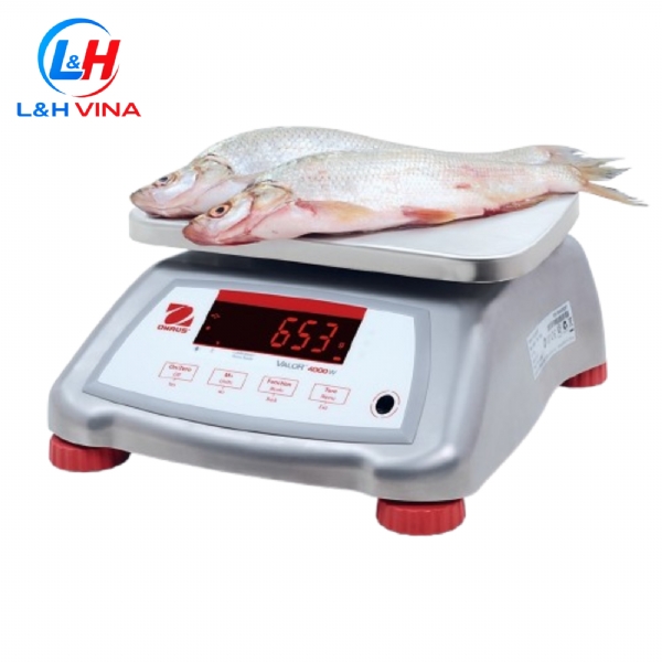 CÂN KỸ THUẬT V41PWE6T 